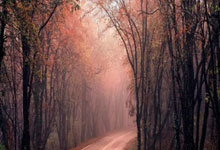 山东鲁能队表现出色，取得胜利