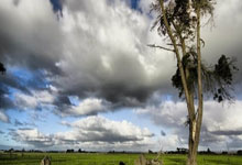 西班牙队全力备战，迎接激烈对决