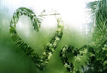 意大利豪取胜利，向冠军进发