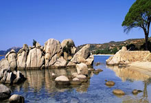 霍芬海姆队球员集体伤愈归队，全力备战下轮